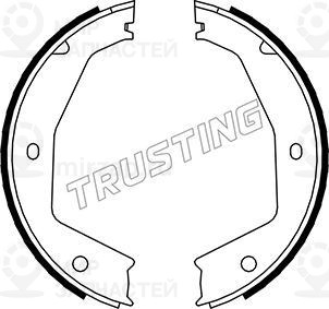 Комплект тормозных колодок, стояночная тормозная система TRUSTING 048002