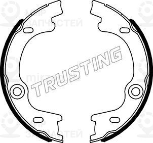 Запчасть TRUSTING 049169