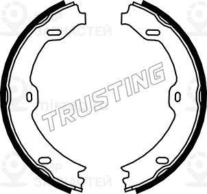 Запчасть TRUSTING 052130