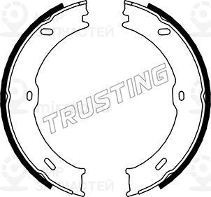 Запчасть TRUSTING 052133