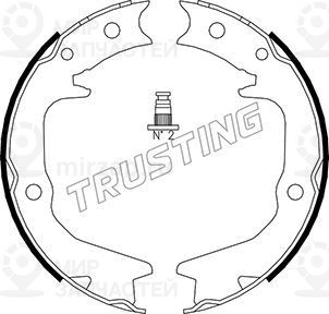 Запчасть TRUSTING 064177