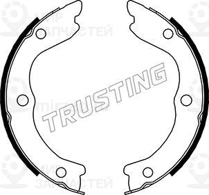 Запчасть TRUSTING 067196