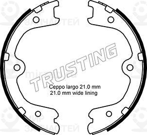 Комплект тормозных колодок, стояночная тормозная система TRUSTING 067200