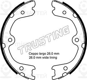 Запчасть TRUSTING 067201