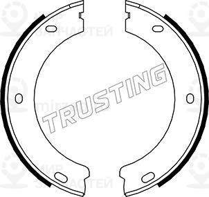 Запчасть TRUSTING 079188
