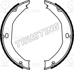 Запчасть TRUSTING 088235