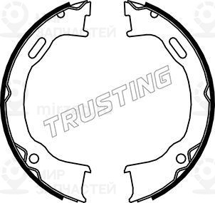 Запчасть TRUSTING 088239