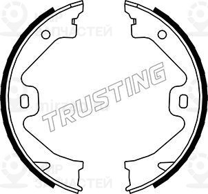 Запчасть TRUSTING 092307