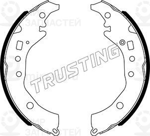 Запчасть TRUSTING 110341