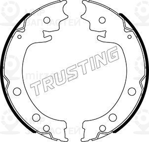 Запчасть TRUSTING 111253