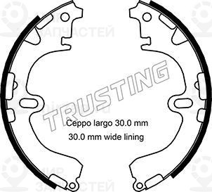 Запчасть TRUSTING 115289