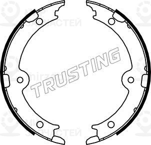 Запчасть TRUSTING 115321