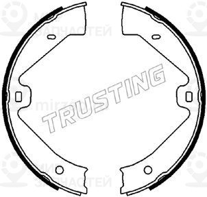 Запчасть TRUSTING 124289