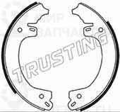 Запчасть TRUSTING 253663
