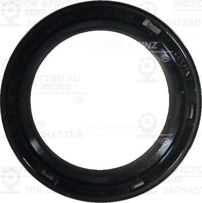 Запчасть VICTOR REINZ 814270400