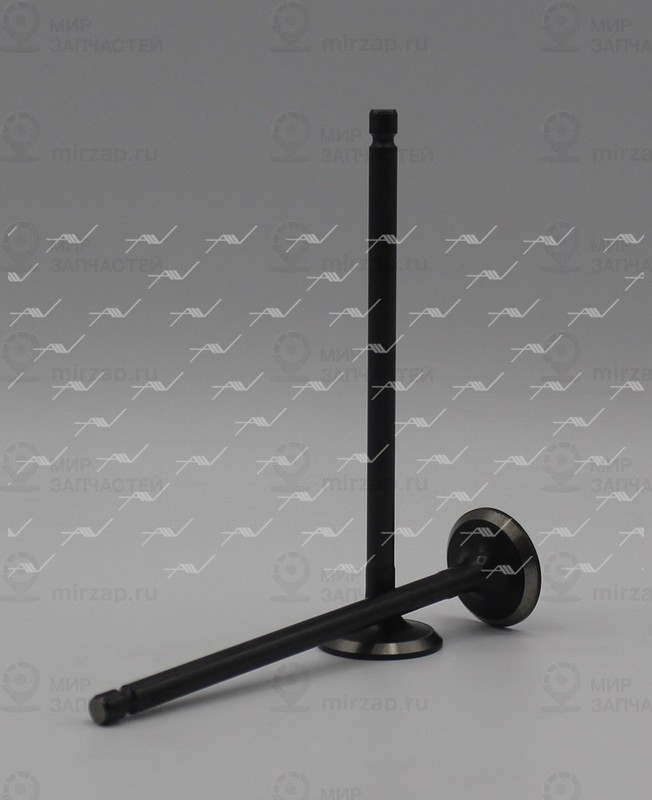 Запчасть AUTOWELT VE32006