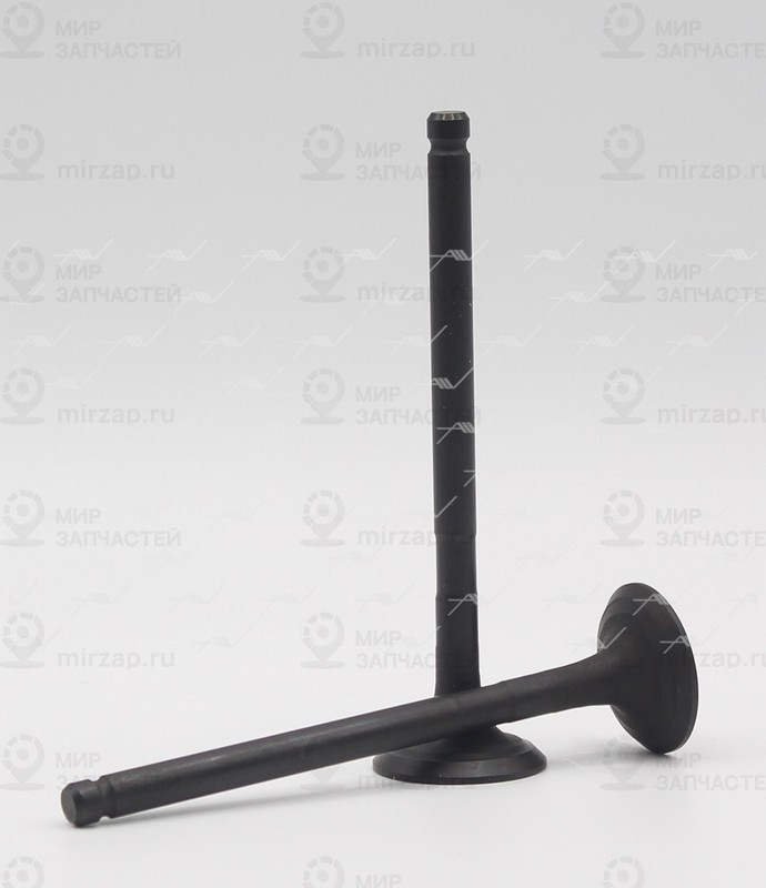 Запчасть AUTOWELT VE34001