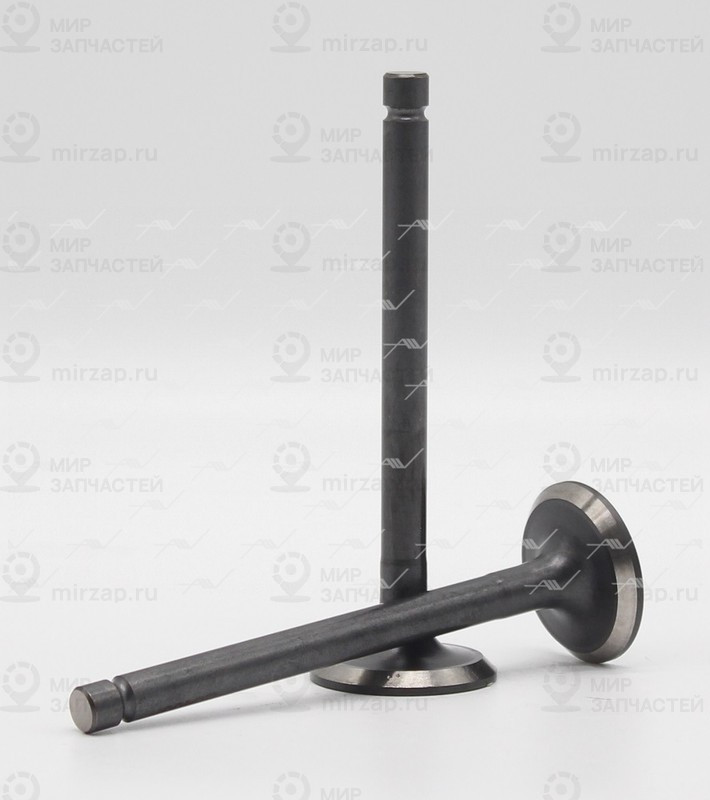 Запчасть AUTOWELT VE34007