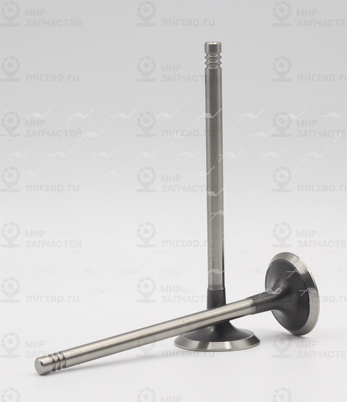 Запчасть AUTOWELT VE50002