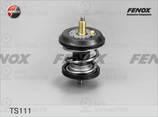Термостат, охлаждающая жидкость FENOX TS111