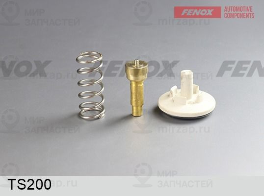 Термостат, охлаждающая жидкость FENOX TS200