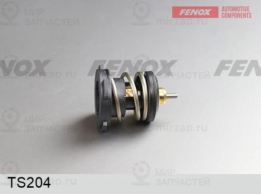 Термостат, охлаждающая жидкость FENOX TS204