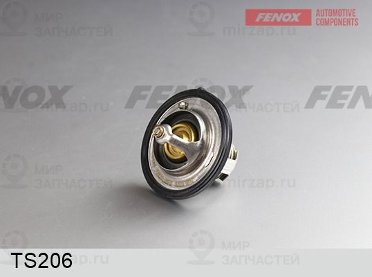 Термостат, охлаждающая жидкость FENOX TS206