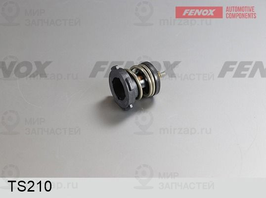 Термостат, охлаждающая жидкость FENOX TS210