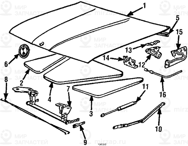 капот BMW 41611936174