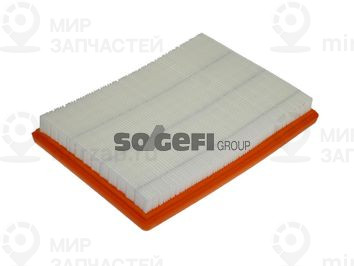Воздушный фильтр FRAM CA9838