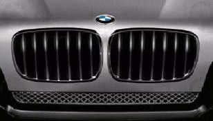 Решетка Радиатора Черная Л BMW 51712155449