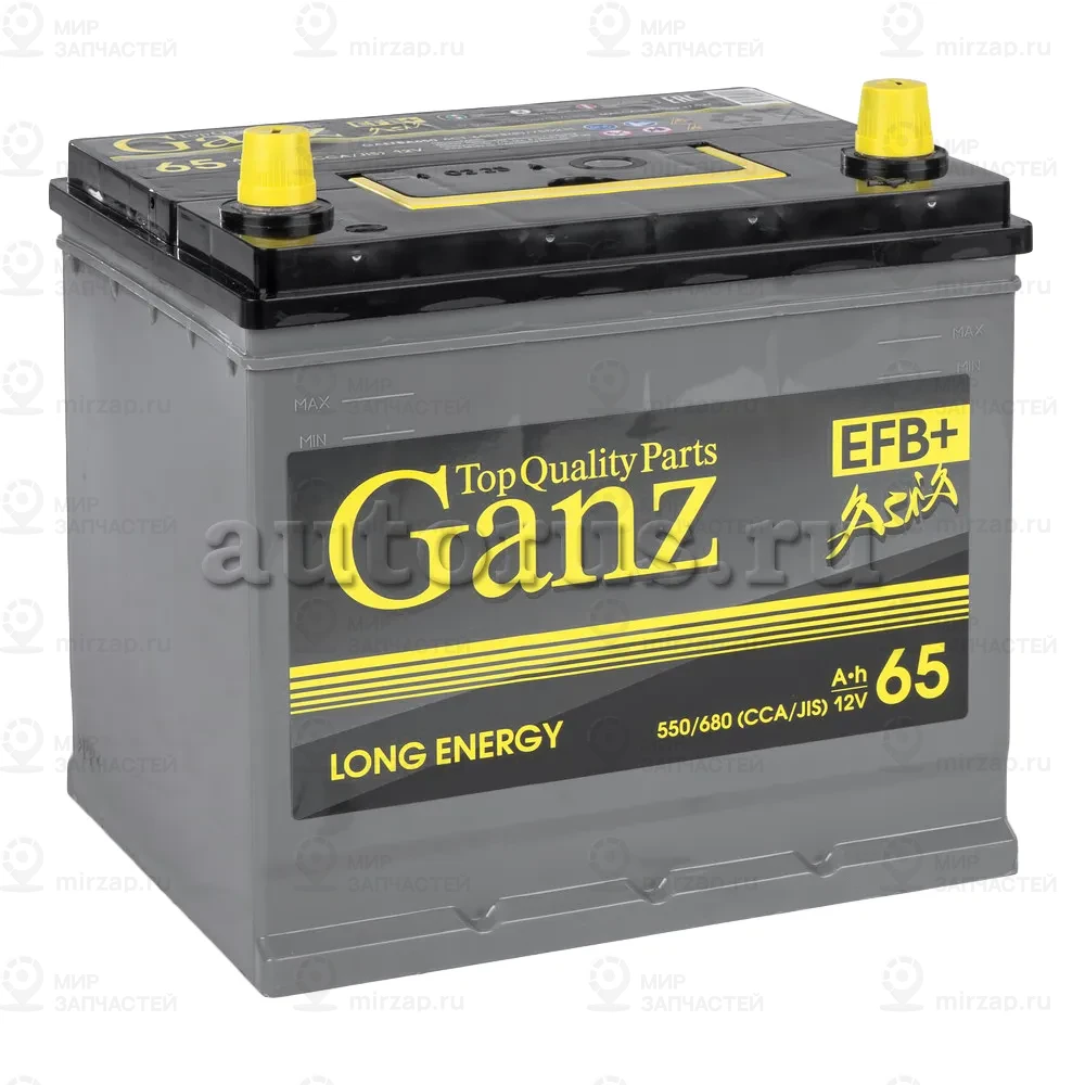 Запчасть GANZ GAEFBA650