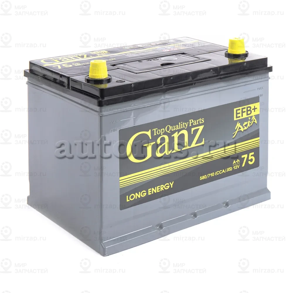 Запчасть GANZ GAEFBA750