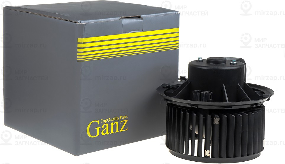 Запчасть GANZ GIC06209
