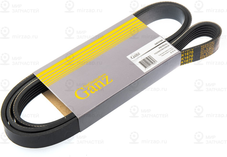 Запчасть GANZ GIE37189