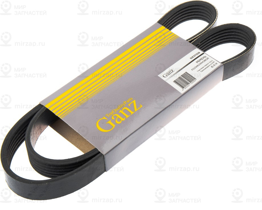 Запчасть GANZ GIE37209