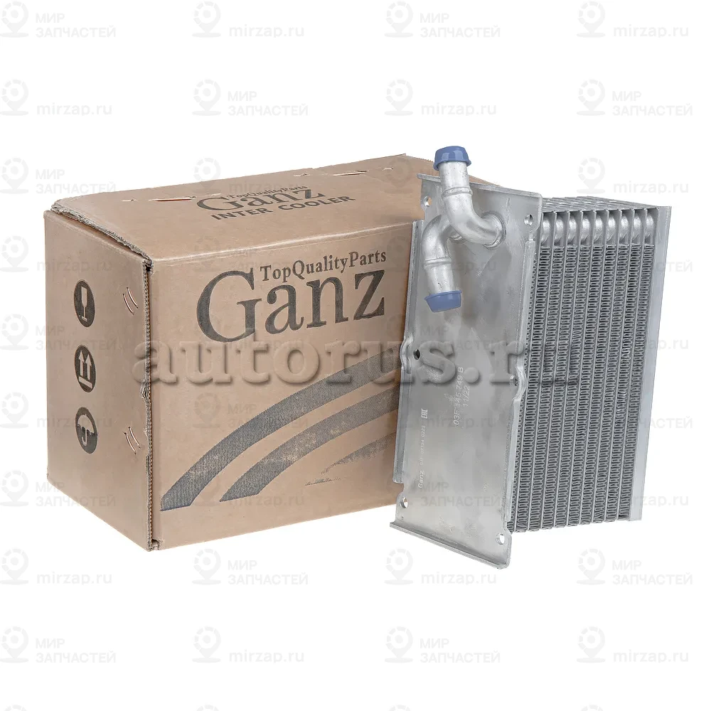 Запчасть GANZ GIF07134