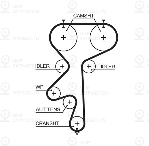 Ремень зубчатый GATES 5542XS