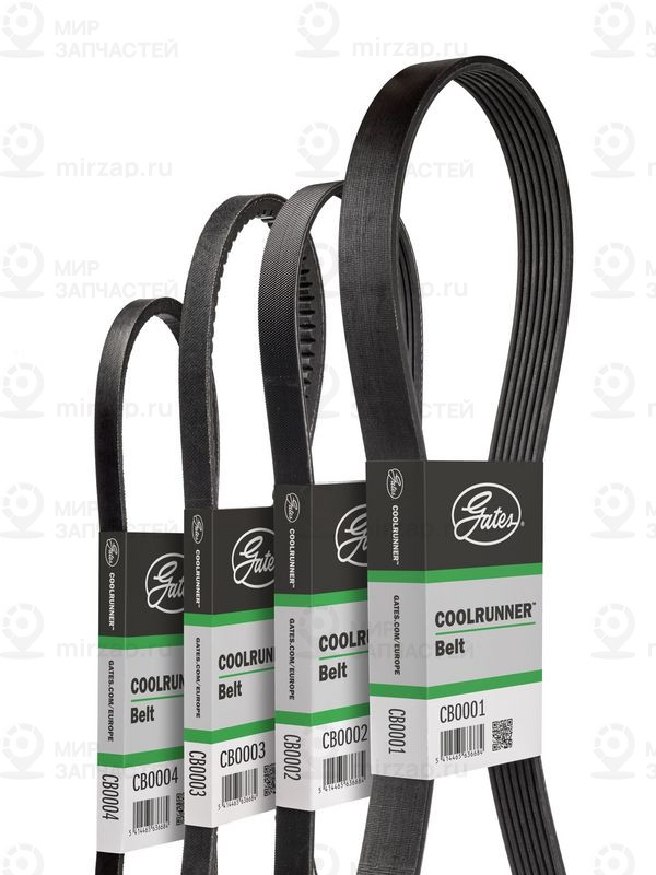 Поликлиновой ремень GATES CB0002