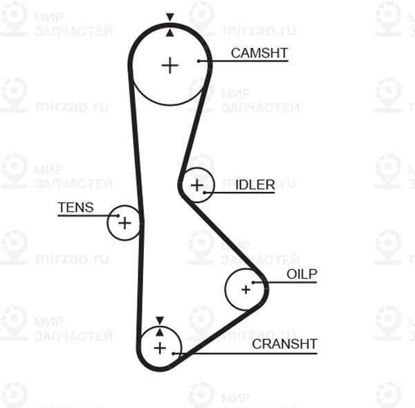 Зубчатый ремень GATES T233