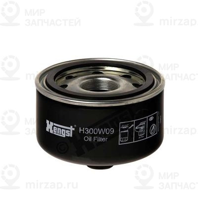 Запчасть HENGST H300W09