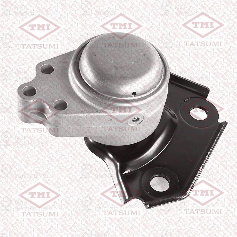 Запчасть TATSUMI TEG1381