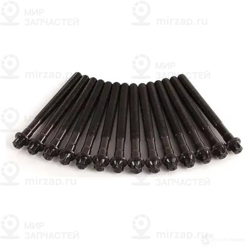 Комплект болтов для головки блока цил. M10X110
 BMW 11121740065