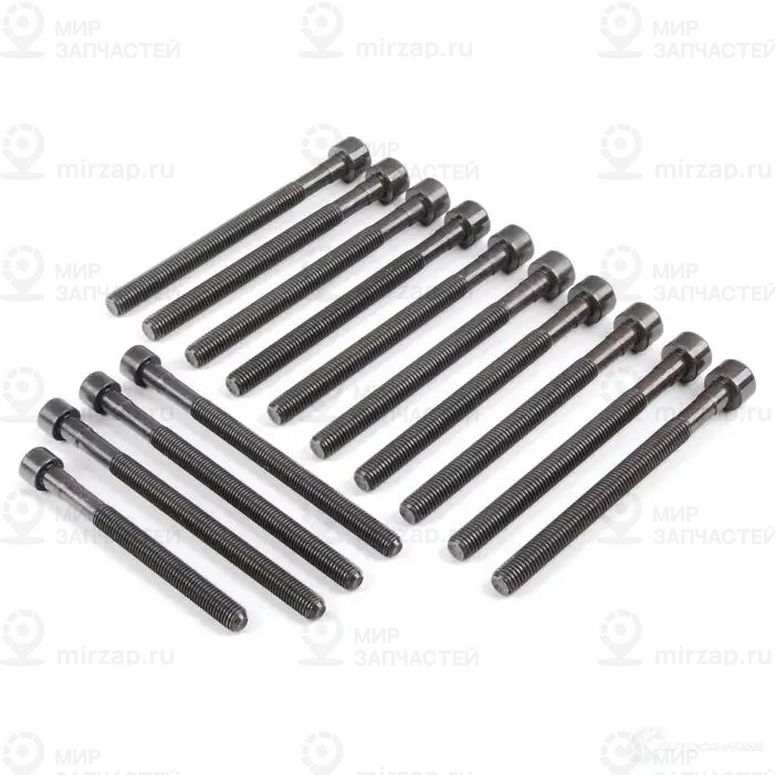 Комплект болтов для головки блока цил. TORX
 BMW 11127548799