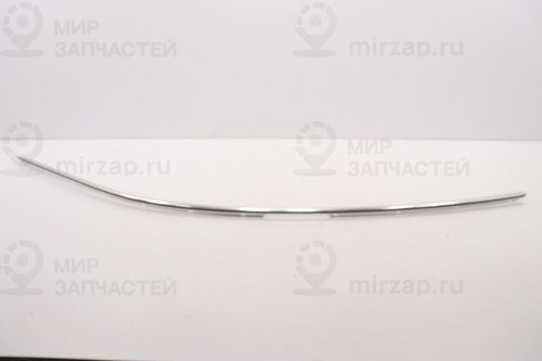 Bright Chrome Molding VAG 670043119