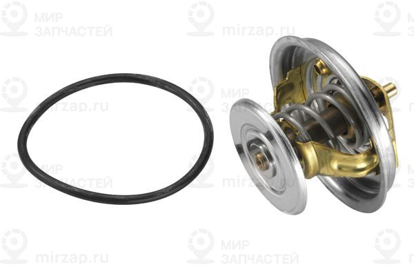 Термостат, охлаждающая жидкость BorgWarner 407887D