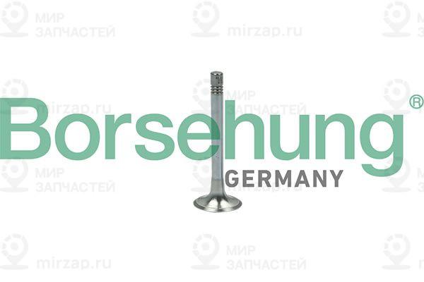 Запчасть Borsehung B18999