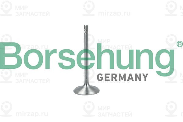 Запчасть Borsehung B19017
