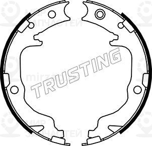 Запчасть TRUSTING 088237